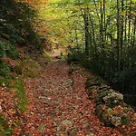 Bellavista Ordesa *
