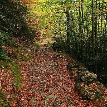 Bellavista Ordesa *
