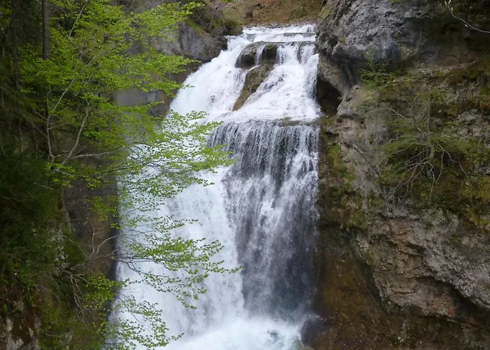 Hotell Bellavista Ordesa *