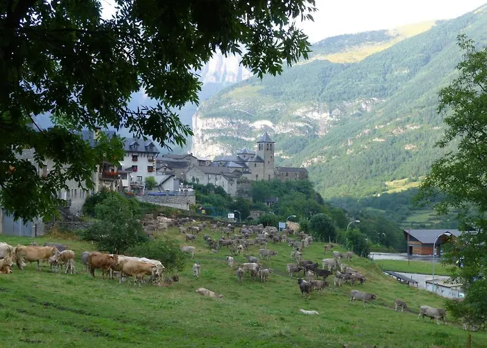 Hotell Bellavista Ordesa *